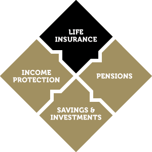 Diagram Life Insurance